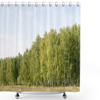 Personality  Birch Forest Landscape Shower Curtains