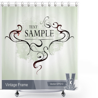 Personality  Cool Vintage Frame Shower Curtains
