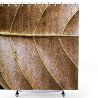 Personality  Autumn Leaf Closeup. Golden Leaf Texture Macro Photo. Dry Yellow Leaf Vein Pattern. Tree Leaf Surface. Fall Season Banner Template. Leafy Structure Macrophoto. Autumn Nature Detail. Dry Vein Ornament Shower Curtains