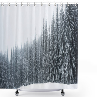 Personality  Pine Trees Forest Covered With Snow On White Sky Background, Panoramic Shot Shower Curtains