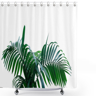 Personality  Dark Green Leaves Of Rainforest Palm Tree The Tropical Foliage Plant Isolated On White Background, Clipping Path Included. Shower Curtains