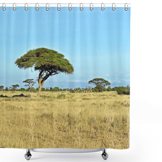 Personality  Amboseli National Park Shower Curtains