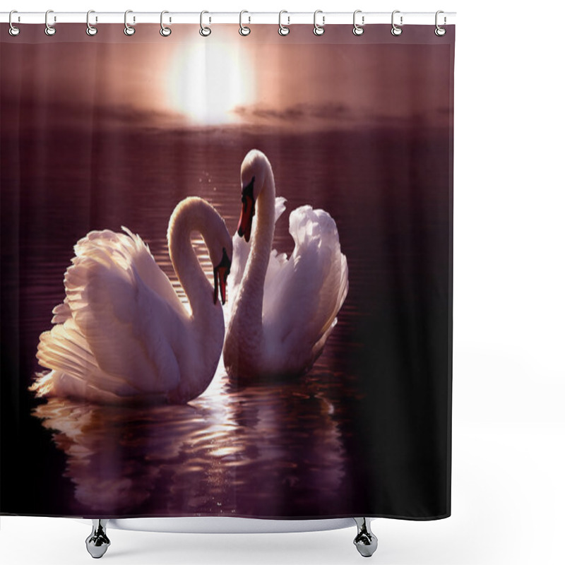 Personality  Loving Swans Forming A Heart Shower Curtains