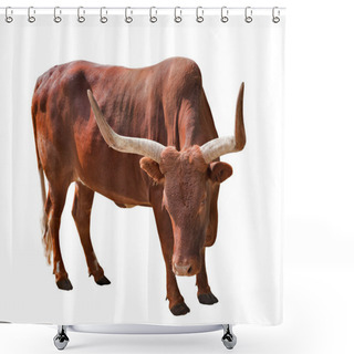 Personality  Brown Bull With Large Horns Shower Curtains