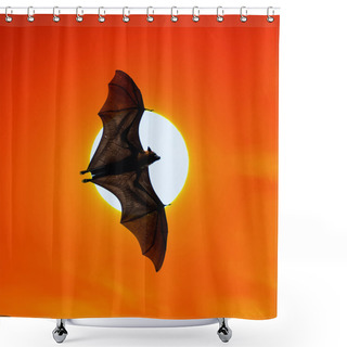 Personality  Bats Flying At Sunset Shower Curtains