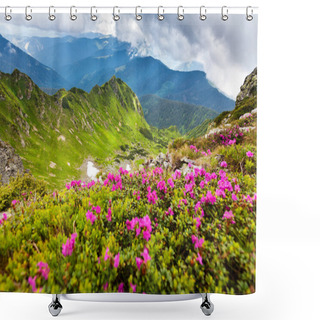 Personality  Carpathian Mountains Shower Curtains