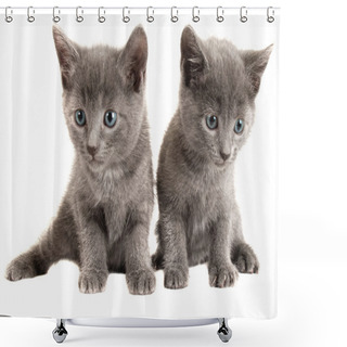 Personality  Blue Eyed Grey Kittens On White Shower Curtains