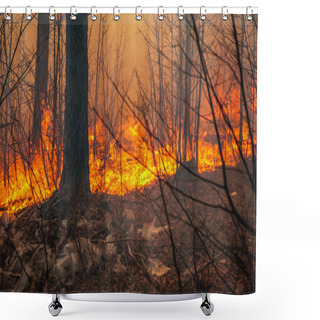 Personality  Forest Fire Shower Curtains