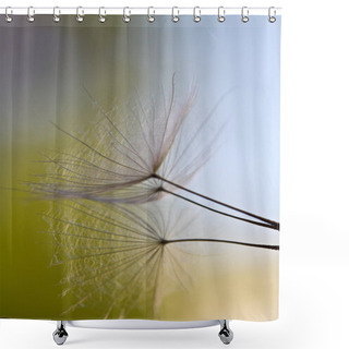 Personality  Dandelion Seeds Drawn On A White Brick Wall. Dandelion Seeds Shower Curtains