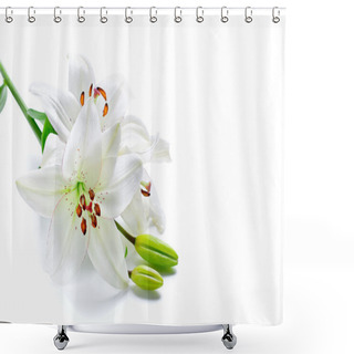 Personality  White Lily Branch, Isolated On White Shower Curtains