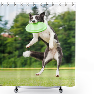 Personality  Border Collie Dog Catching Frisbee In Jump Shower Curtains