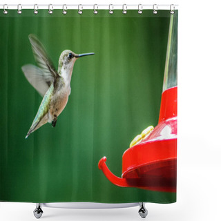 Personality  Humming Bird Flying Toward Feeder Shower Curtains