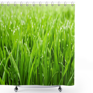 Personality  Close Up Of Fresh Thick Grass With Water Drops In The Early Morning Shower Curtains
