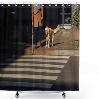 Personality  Cropped View Of Man With Stick And Guide Dog Standing Beside Crosswalk Shower Curtains