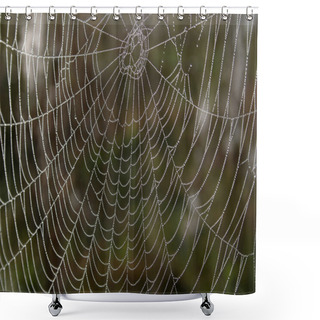 Personality  Openwork Cobweb In Dewdrops Shower Curtains