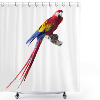 Personality  Parrot Shower Curtains