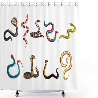Personality  Colorful Collection Of Various Snakes Shower Curtains