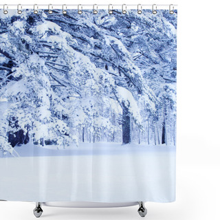 Personality  Winter Wonderland Shower Curtains