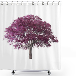 Personality  Purple Tree Isolated On White Background Shower Curtains