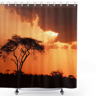 Personality  Beautiful African Sunset Shower Curtains