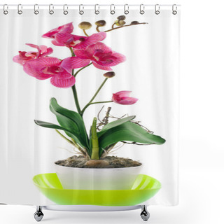 Personality  Orchid With Buds Shower Curtains