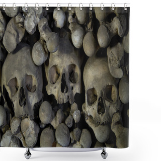 Personality   Ossuary. Shower Curtains