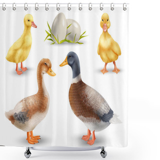 Personality  Adult Ducks With Cute Yellow Ducklings And Eggs Realistic Set Isolated Vector Illustration Shower Curtains