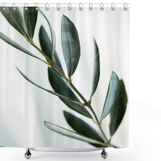 Personality  Close Up View Of Leaves Of Olive Branch On Blurred Background Shower Curtains