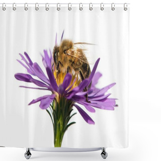 Personality  Honey Bee On Violet Flower Isolated On White Background Shower Curtains