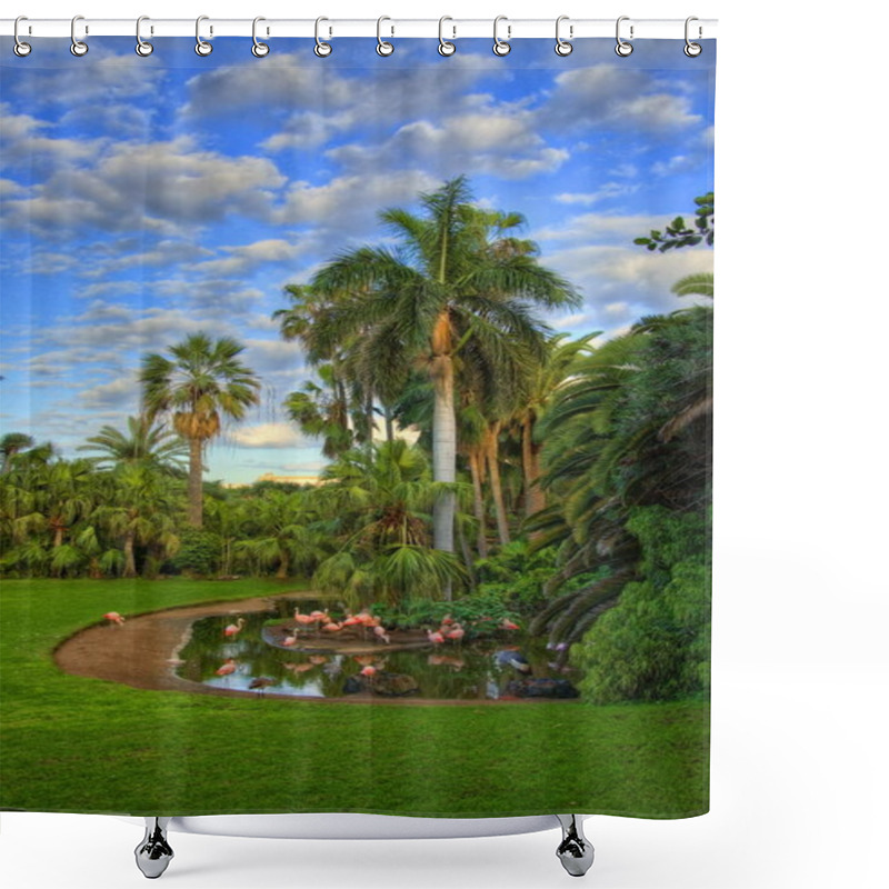 Personality  Flamingos Near The Palm, Tenerife, Canarian Islands Shower Curtains