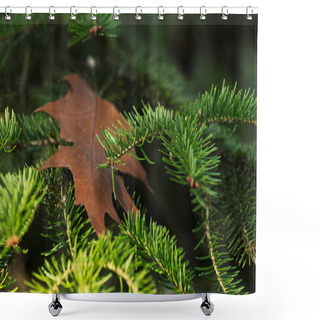 Personality  Pine Tree Branches Shower Curtains