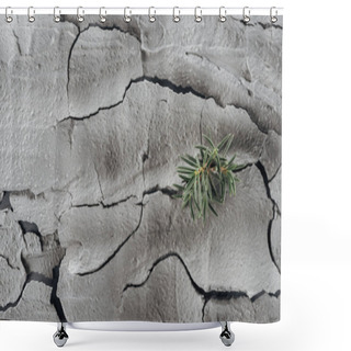 Personality  Young Green Plants On Cracked Land Surface, Global Warming Concept Shower Curtains