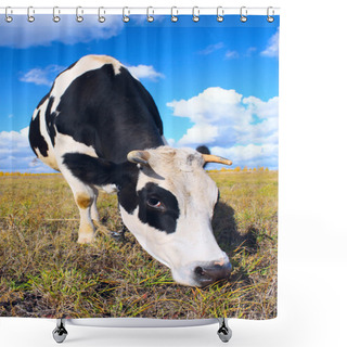 Personality  Cow Eating Grass Shower Curtains
