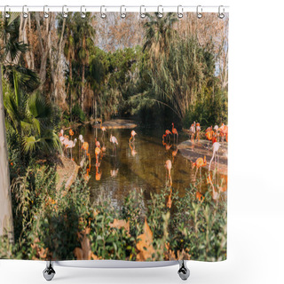 Personality  Flamingos Walking In Zoo Pond Surrounded With Lush Plants, Barcelona, Spain Shower Curtains
