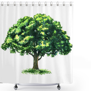 Personality  Green Tree Oak Isolated On White Background Shower Curtains