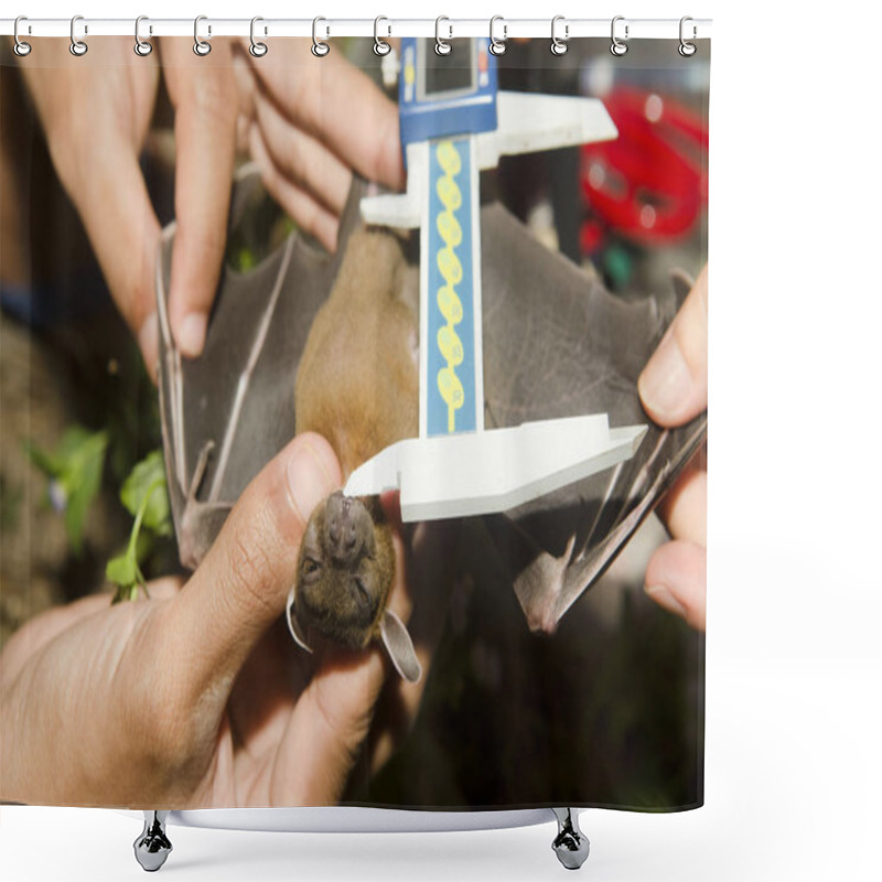 Personality  Bat In Hand Of Researcher Shower Curtains