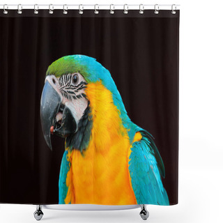 Personality  Wildlife Scene With Parrot Shower Curtains
