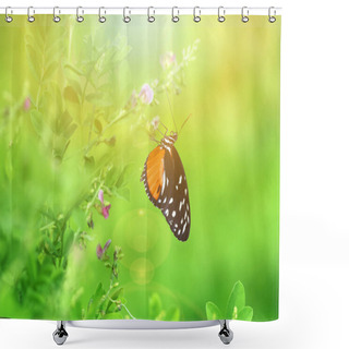 Personality  Vintage Photo Of Butterfly And Flower  Shower Curtains