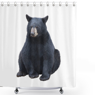 Personality  Young Black Bear Sitting , Isolated On White Background Shower Curtains