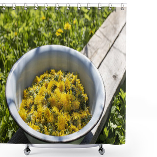 Personality  Fresh Buds Of A Blossoming Dandelion In A Metal Bowl. Raw Materials Of Flowers Taraxacum For Making Jam And Natural Syrup. Shower Curtains