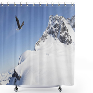 Personality  Eagle Flying Near Snow Covered Mountains Shower Curtains