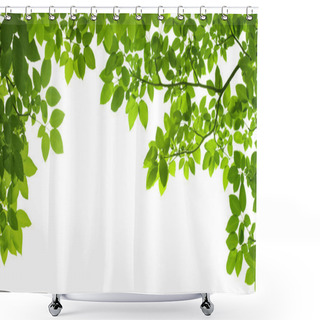 Personality  Panoramic Green Leaves On White Background Shower Curtains