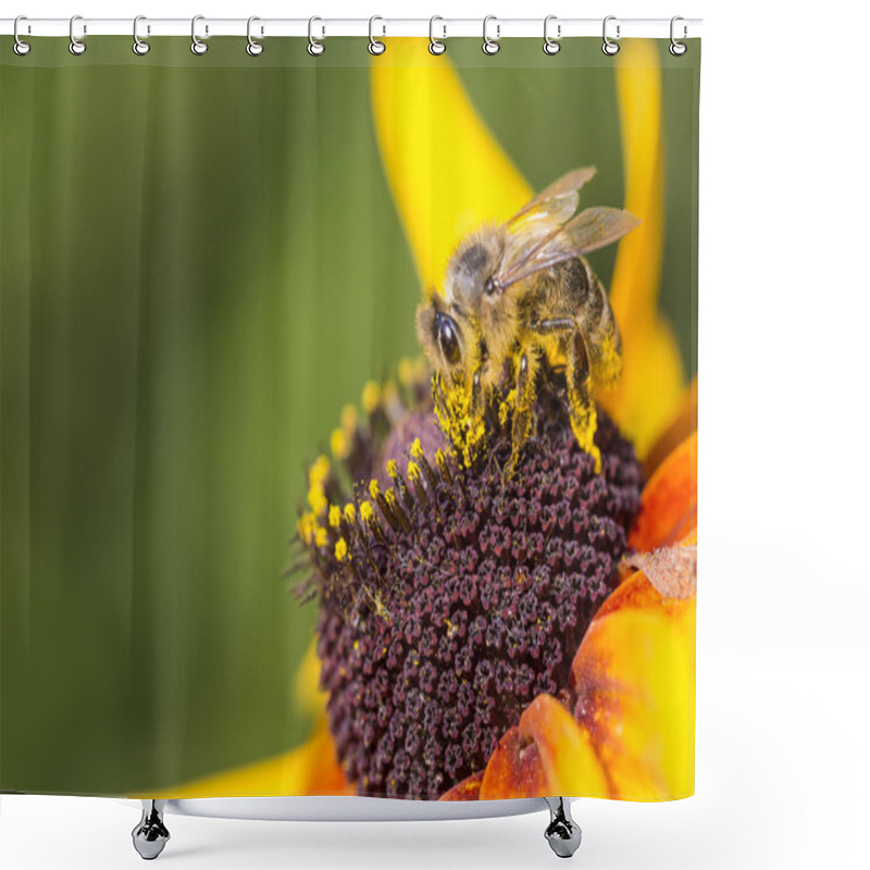 Personality  Close-up Photo Of A Western Honey Bee Gathering Nectar And Sprea Shower Curtains