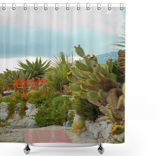 Personality  Cactus Garden In Town Of Eze Shower Curtains