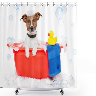 Personality  Dog Taking A Bath In A Colorful Bathtub With A Plastic Duck Shower Curtains