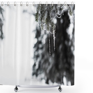 Personality  Close Up View Of Frozen Spruce Branches Covered With Frost Shower Curtains