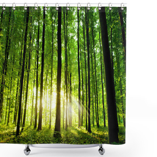Personality  Beautiful Green Forest Shower Curtains