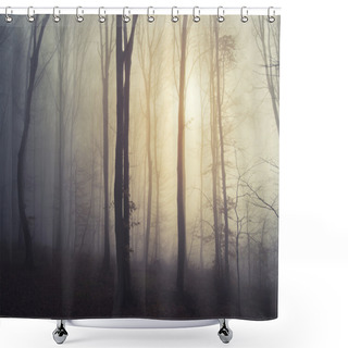 Personality  Dark Spooky Misty Forest Shower Curtains