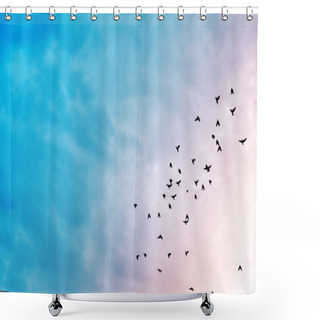 Personality  Birds In The Sky. Shower Curtains