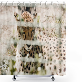 Personality  Selective Focus Of Leopard Resting On Grass Near Cage  Shower Curtains